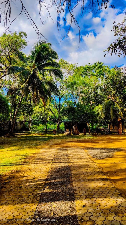Jay'S Avenue Udawalawe Exterior photo