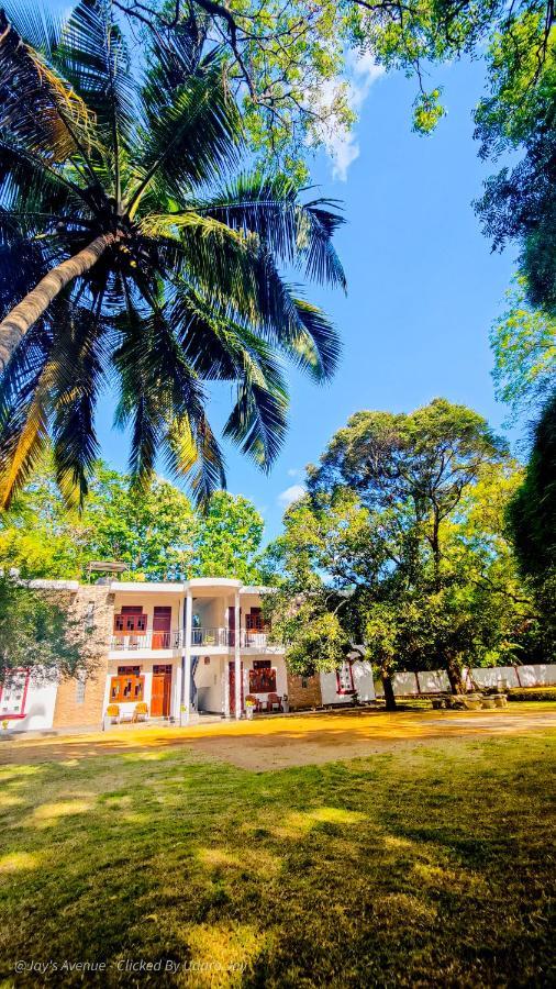 Jay'S Avenue Udawalawe Exterior photo